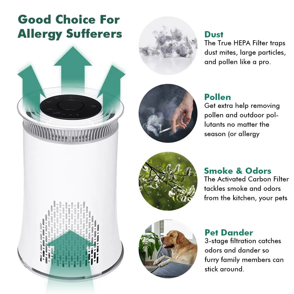 Air Purifier with True HEPA Filter Odor Allergies Eliminator